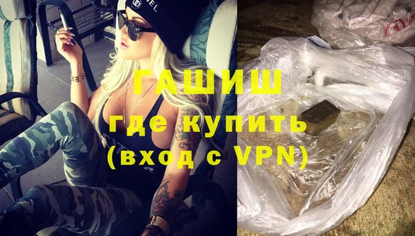 индика Заводоуковск