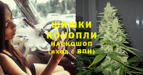 дурь Алзамай