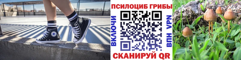 ссылка на мегу ССЫЛКА  цены наркотик  Ивангород  Галлюциногенные грибы Psilocybe 